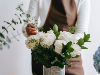 “揭示”搜索引擎蜘蛛是引导，而不是佛系seo优化